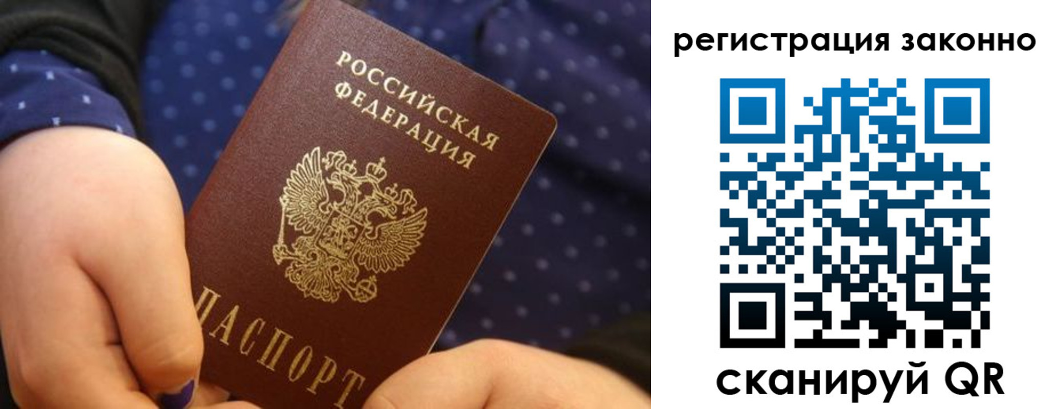 прописка для работы в Нелидово