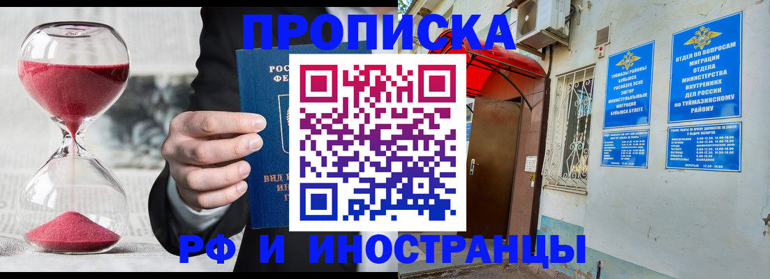 прописка 2025 в Нелидово